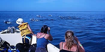 Snorkling Papagayo Gulf