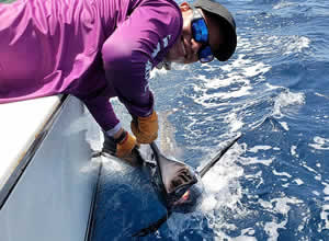 Papagayo Sport Fishing Charters Costa Rica