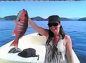 Fishing Seasons Papagayo Gulf