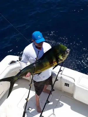 Mahimahi on Deep Sea Fishing Charters