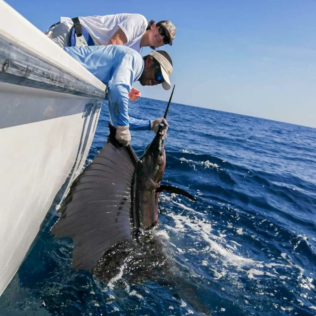 Sailfish. Papagayo Fishing
