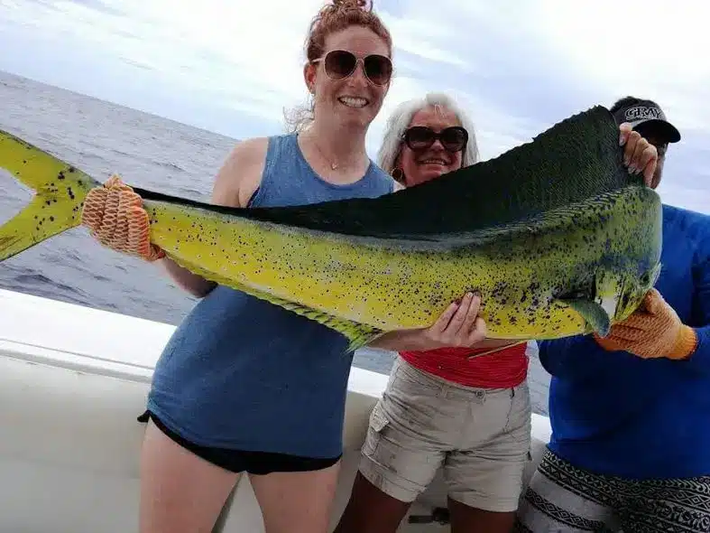 Deep sea fishing seasons or mahi-mahi in the Guanacaste
