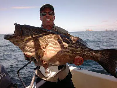 Fishing season in Gulf Papagayo for Grouper