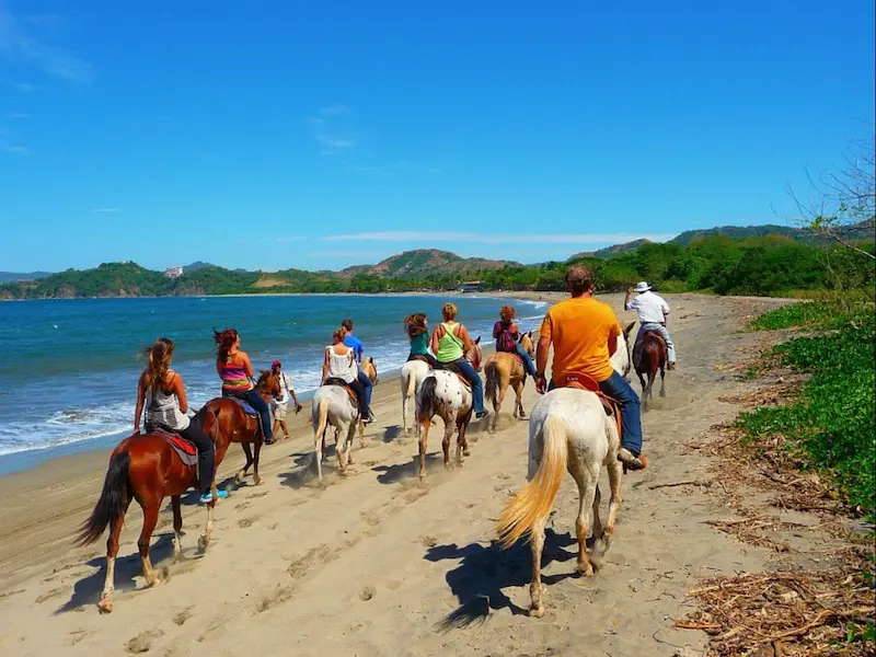 Horse back riding and beach tour Guanacaste