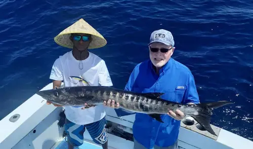Fishing season in the Gulf papagayo  for Wahoo