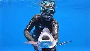 Spear Fishing Charters Gulf Papagayo