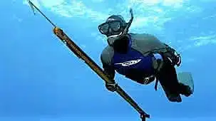 Spear-Fshing Gulf Papagayo.