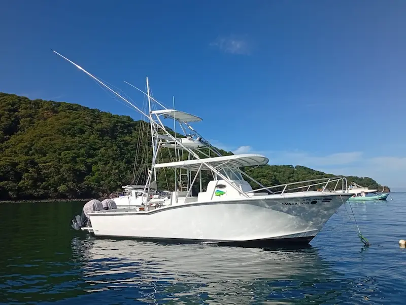 wassabi-sport-fishing-boat Wassabi 35ft. Sport fishing boat in Gulf Papagayo