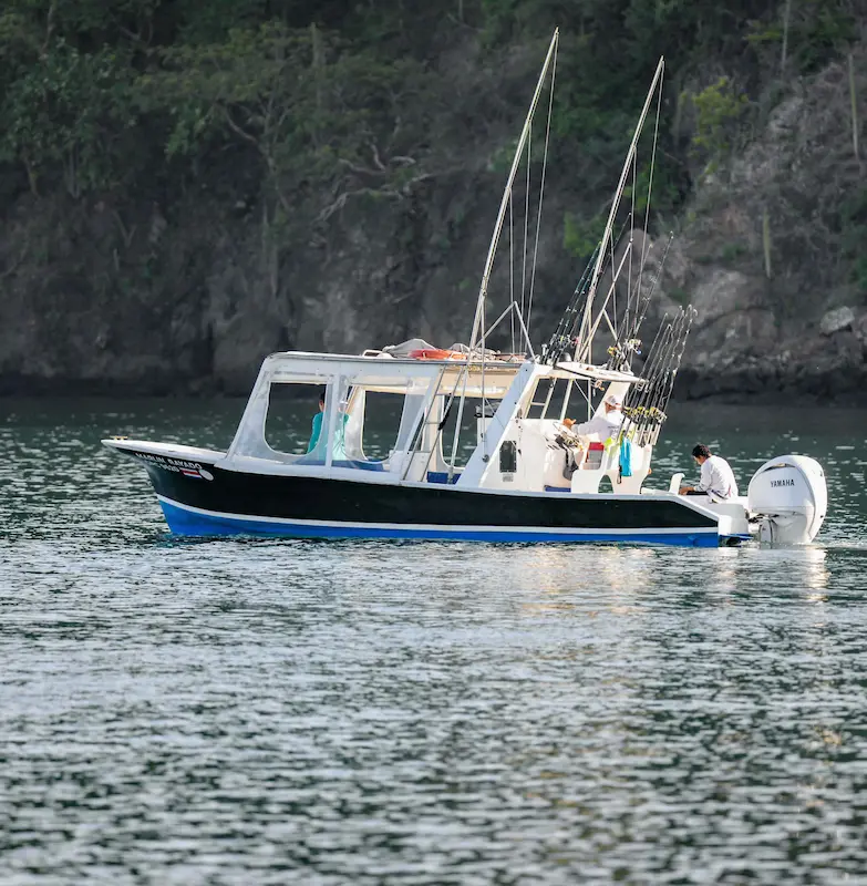 Marlin Rayado in the Gulf Papagayo