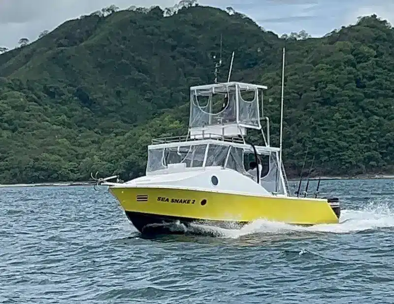sea-snake-2