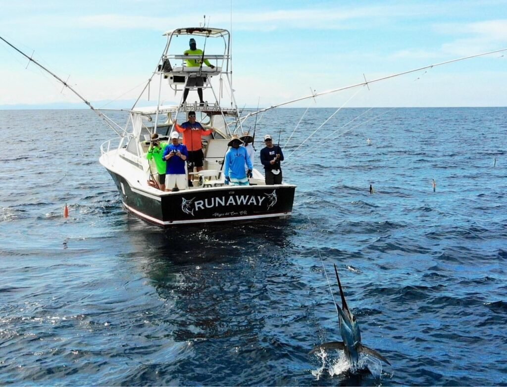 Imagen de WhatsApp 2024-12-28 a las 10.04.26_3417a569 Fishing for sailfish onboard the Runaway boat from Playa Flamingo, in Gulf Papagayo